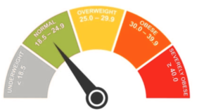 BMI Calculator